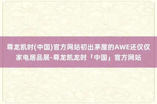 尊龙凯时(中国)官方网站初出茅屋的AWE还仅仅家电居品展-尊龙凯龙时「中国」官方网站