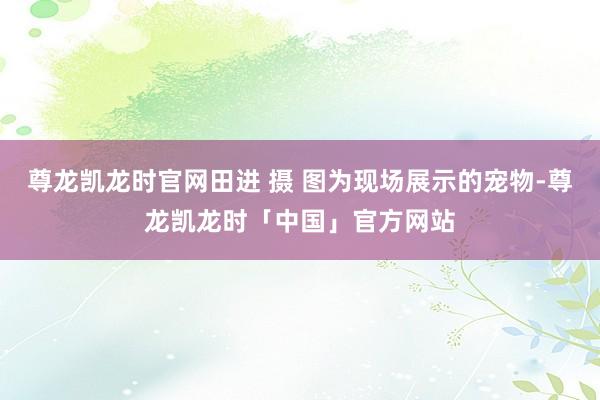尊龙凯龙时官网田进 摄 图为现场展示的宠物-尊龙凯龙时「中国」官方网站
