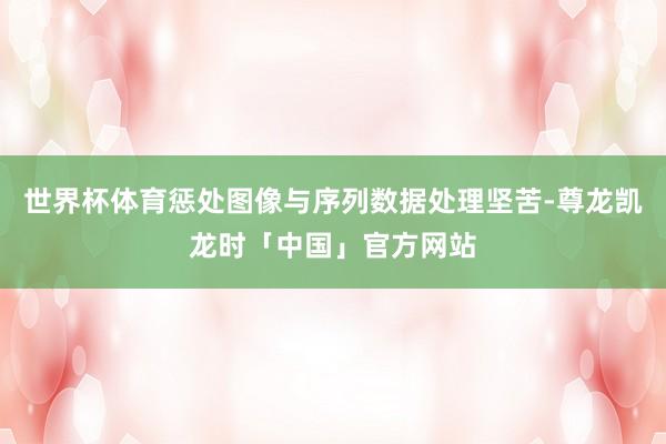 世界杯体育惩处图像与序列数据处理坚苦-尊龙凯龙时「中国」官方网站
