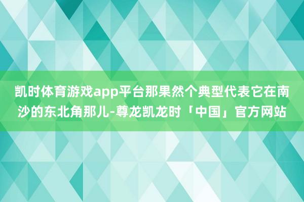 凯时体育游戏app平台那果然个典型代表它在南沙的东北角那儿-尊龙凯龙时「中国」官方网站