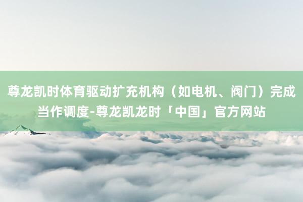尊龙凯时体育驱动扩充机构（如电机、阀门）完成当作调度-尊龙凯龙时「中国」官方网站