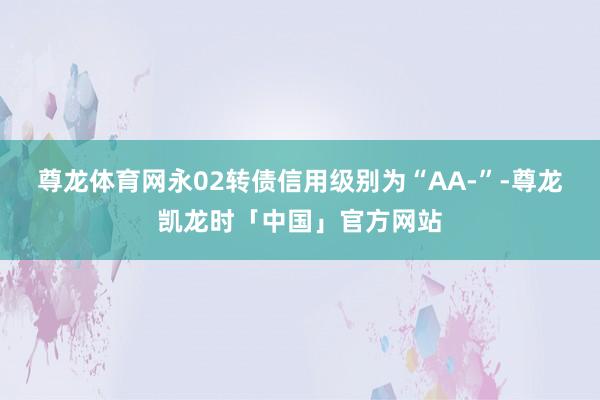尊龙体育网永02转债信用级别为“AA-”-尊龙凯龙时「中国」官方网站